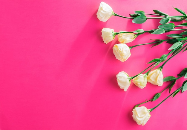 Pink floral background with yellow eustoma flowers