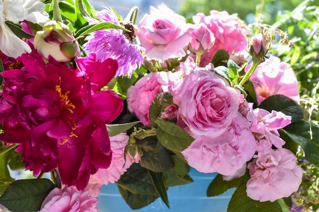 Pink flowers on a background of emerald greenery in the garden