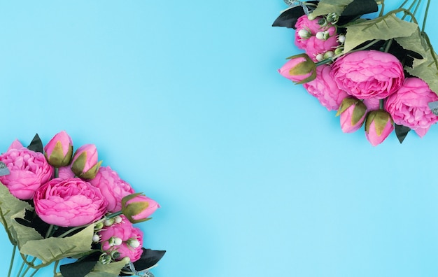 Pink flowers on blue background