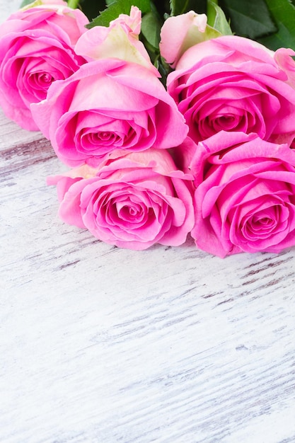 Pink fresh roses in water drops close up on white wooden aged desktop