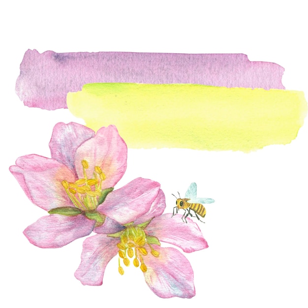 A pink fruit tree flower with watercolor strokes of yellow and pink flowers and a bee illustration