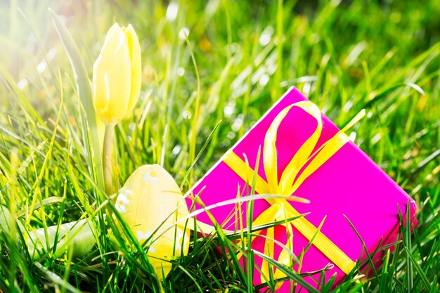 Pink gift with easter egg and yellow tulip