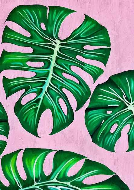 Pink and Green Monstera Tropical Plant Illustration Nature Lovers Art Print