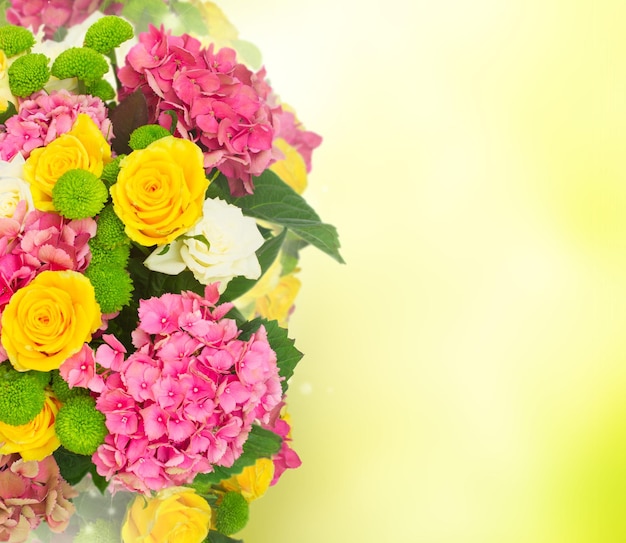 Pink hortensia flowers