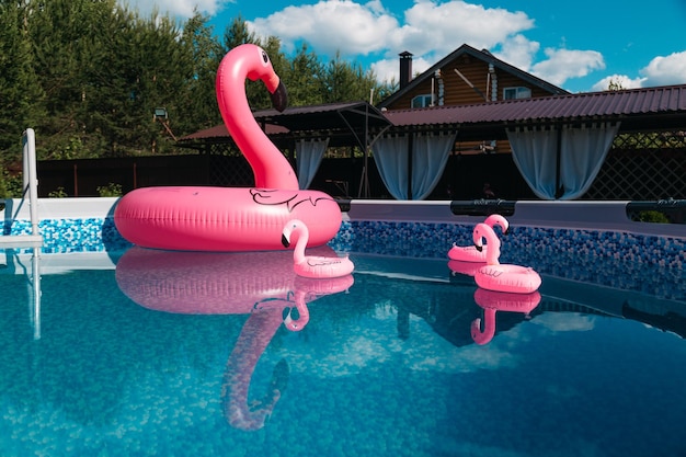 pink inflatable flamingo in the pool