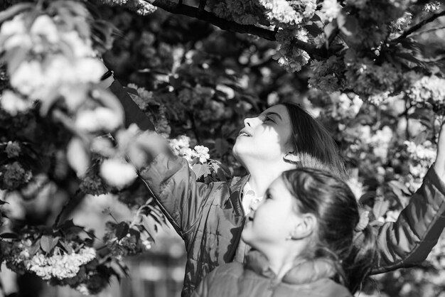 Pink is our favorite Children enjoy spring garden Sakura garden Sisters walk park sakura trees Kids pink flowers of sakura tree background Flowers soft tender bloom Kids enjoying cherry blossom