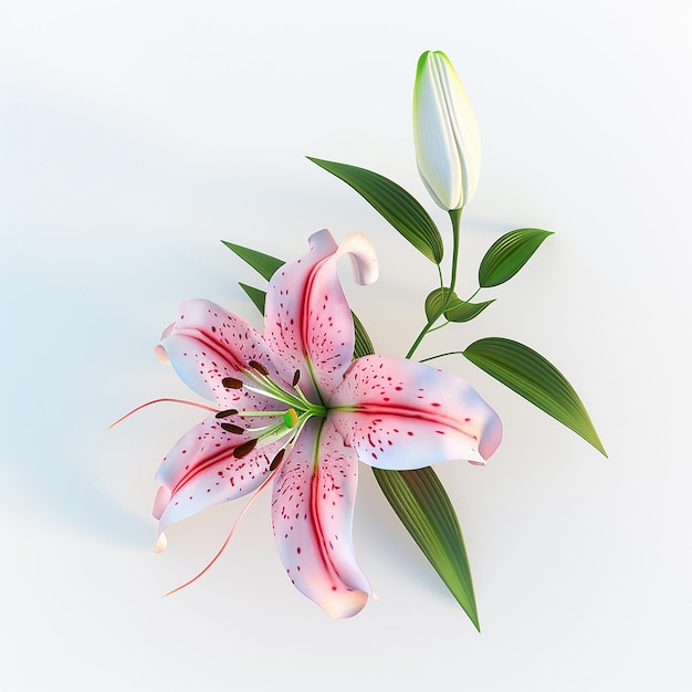 a pink lily with white spots and pink flowers