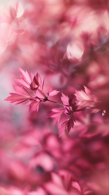 Pink maple leaves against blurred soft dreamy background selective focus smartphone wallpaper