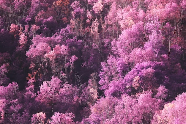 pink nature landscape, spring background flowers park outdoors