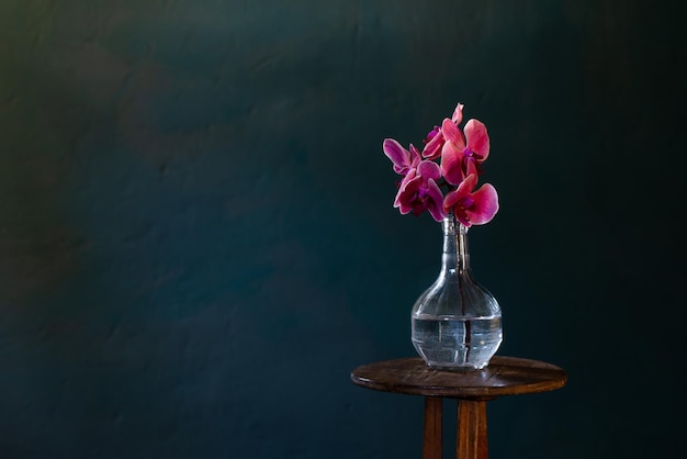 Pink orchid in glass bottle on dark blue background