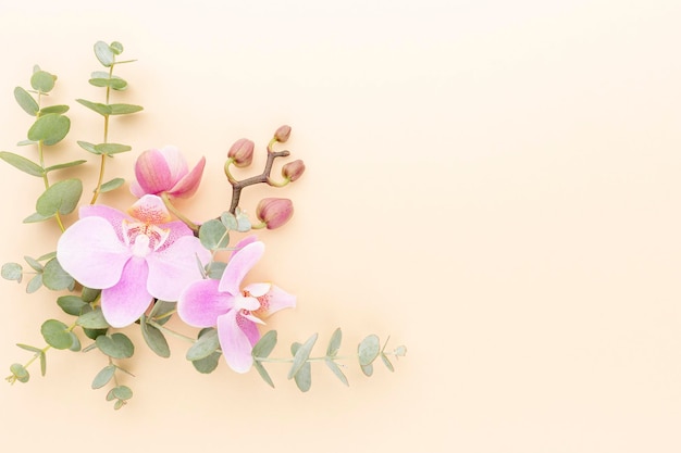 Pink orchid on the pastel background. Spa background.