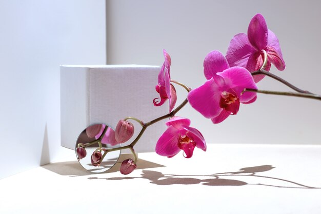 Photo pink orchid on a white background