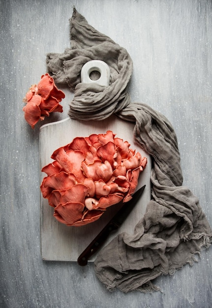 Pink oyster mushroom bunch closeup raw no people