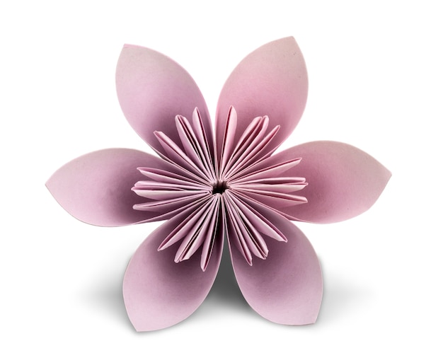 Pink paper origami flower on white background