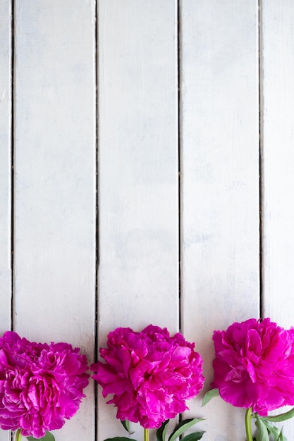 Pink peonies on a background of white painted rough wooden boards Copy space Greeting card