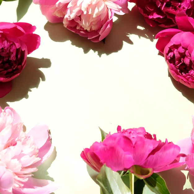 Pink peonies and leaves with hard shadow. Trendy pattern, summer concept.