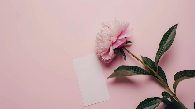 pink peonies and a white paper mockup top view background floral mockup