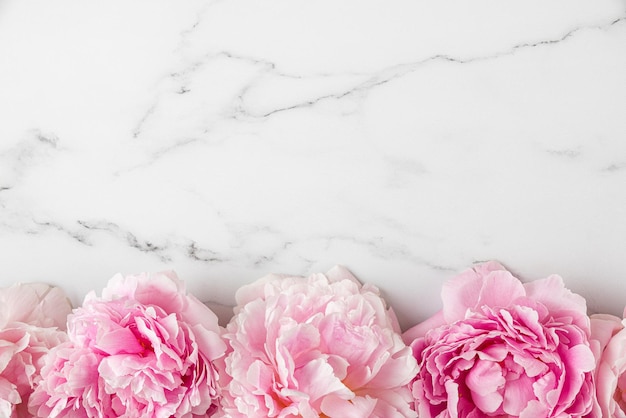 Pink peony flowers on white marble background Flat lay Top view Mothers day or wedding background