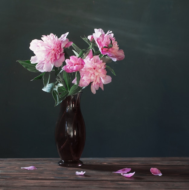 Pink peony in  vase  on background dark wall