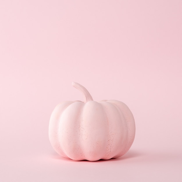 Pink pumpkin on a pastel pink