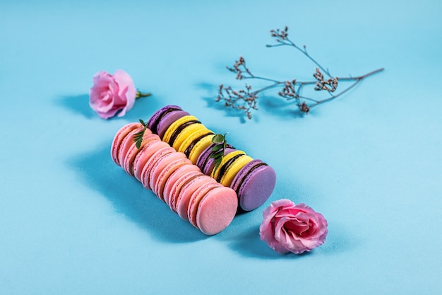 pink purple and yellow macaroons on a blue background