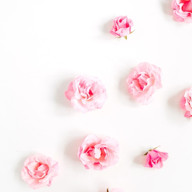 Pink rose buds pattern on white