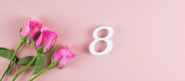 Pink Rose flower and 8th Number with copy space for text. Love, Equal and International Women day concept