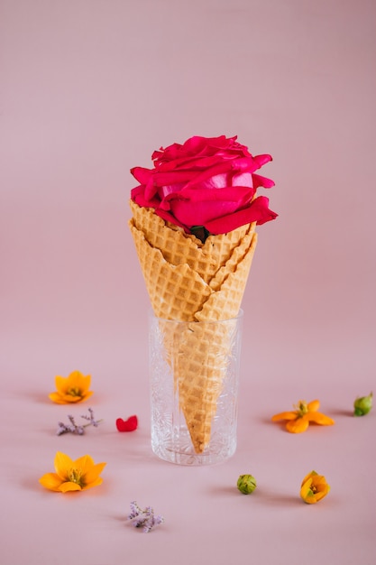 Pink rose in Ice Cream on pink with colorful flowers, copy space