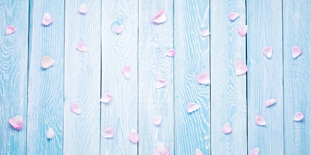 Pink rose petals on blue wooden planks background