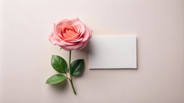 a pink rose with a blank card next to it