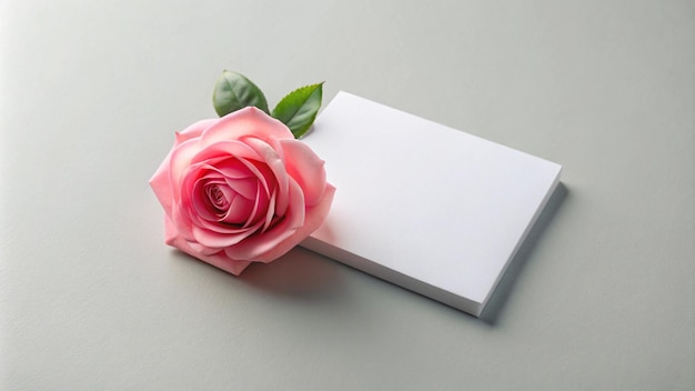 a pink rose with a white card on it