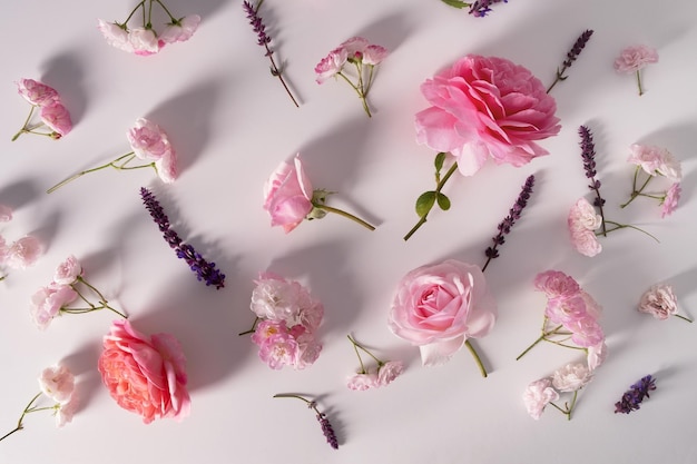 Pink roses background Delicate blooming festive light blossoming flowers soft pastel full frame