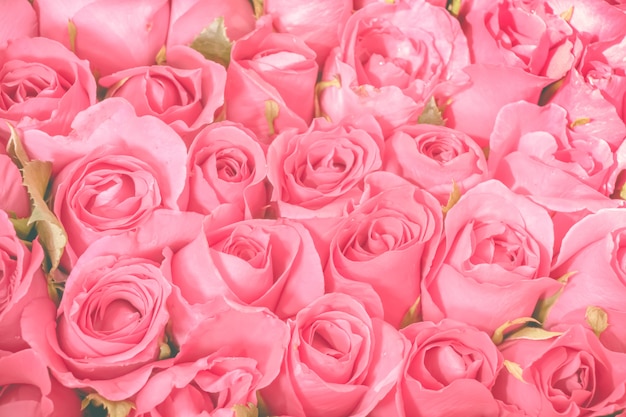 Pink Roses bouquet background