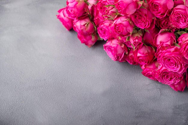 Pink roses over gray background  Text space