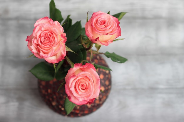 Pink roses on gray background