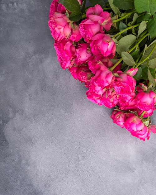 Pink roses over grey background