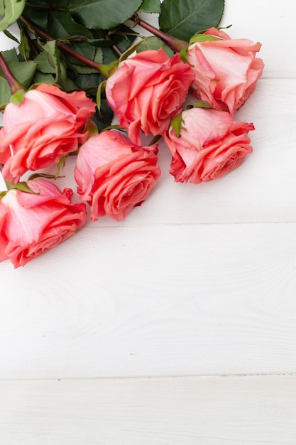 Pink roses on white wooden background