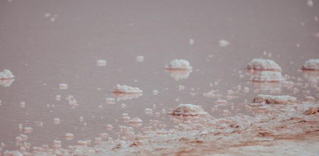 Photo pink salt crystals natural pink salt lake texture salt mining extremely salty pink lake colored by