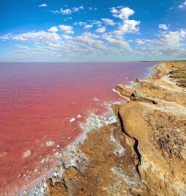 Pink salty Syvash Lake Ukraine