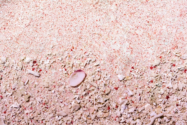 Pink Sand and Dead Corals at Pink Beach in Komodo National Park