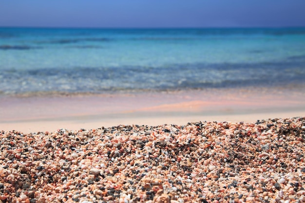 Pink sandy beach and crystal waters closeup Elafonisi Crete