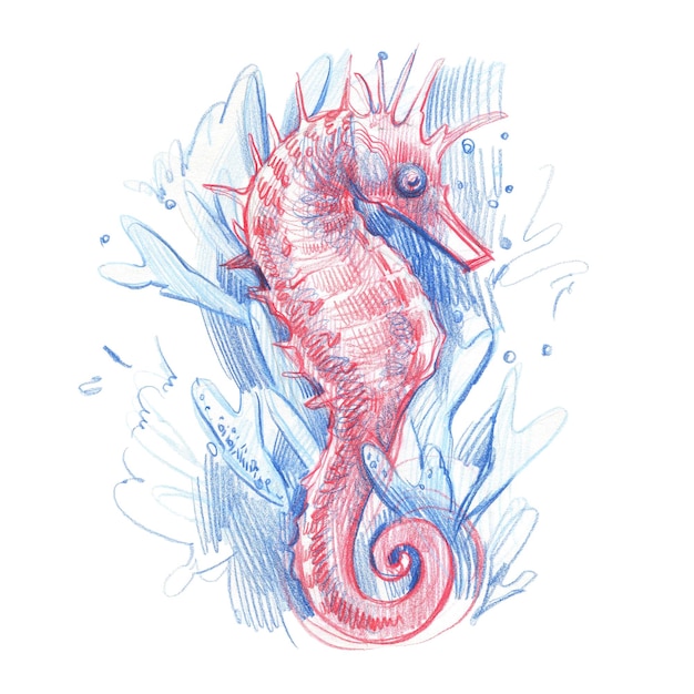 Pink sea horse with water splash isolated on white background pencil graphics hand drawn illustratio