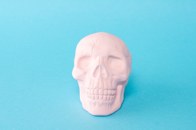 Pink skull on a pastel blue