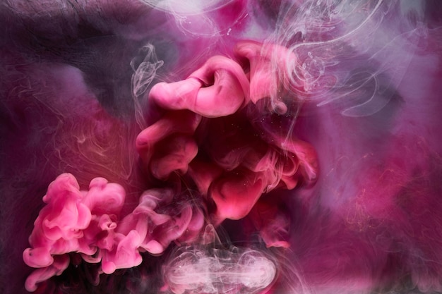 Pink smoke on black ink background colorful fog abstract swirling touch ocean sea acrylic paint pigment underwater