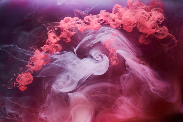 Pink smoke on black ink background colorful fog abstract swirling touch ocean sea acrylic paint pigment underwater