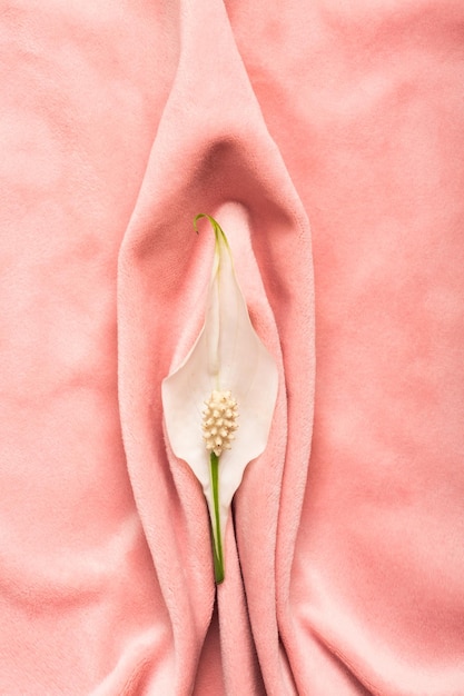 Pink soft tissue in the form of female genital organs vulva and labia vagina concept with delicate flower