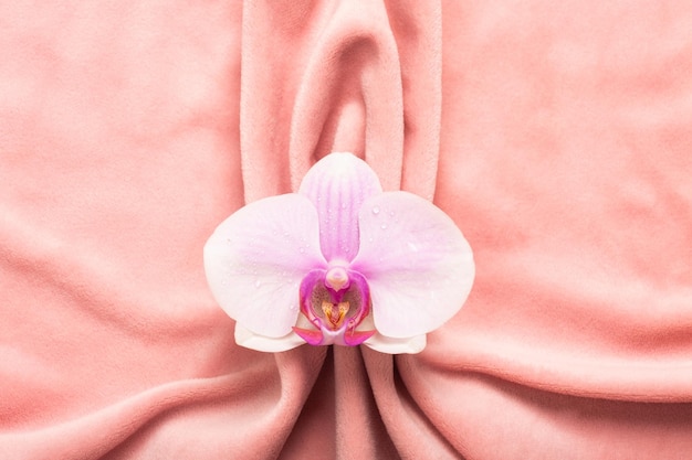 Pink soft tissue in the form of female genital organs vulva and labia vagina concept with delicate flower