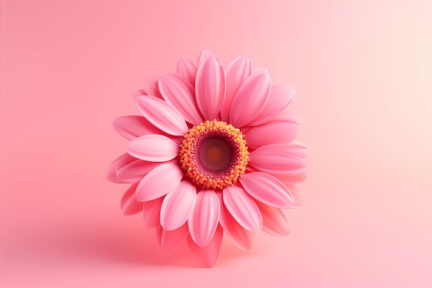 pink sunflower