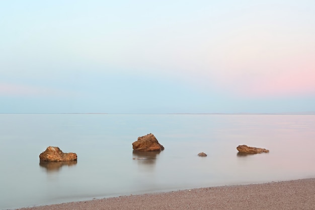 Photo pink sunset over the calm sea tree stones on the foreground stones and sea with long exposure