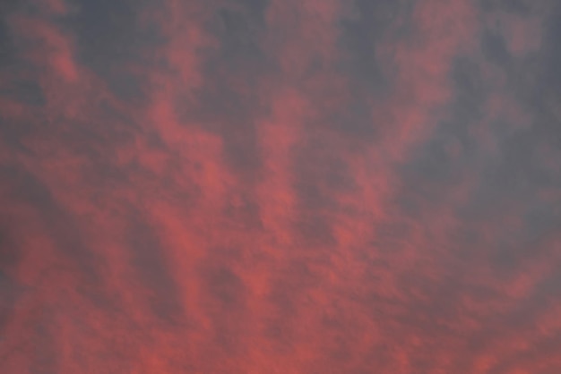 Pink sunset sky panorama Cloudscape with feather clouds during sunset